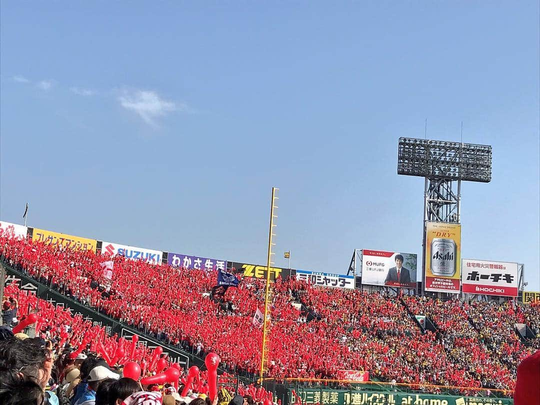 ゴッホ向井ブルーさんのインスタグラム写真 - (ゴッホ向井ブルーInstagram)「令和2日目も甲子園でした。 山本さんとカープの令和初勝利観れた！！この沢山のカープファンが待つレフトスタンドに突き刺さるホームランまで緊張の試合だったけえ無事勝って良かったあああああ」5月2日 18時44分 - goghmukai