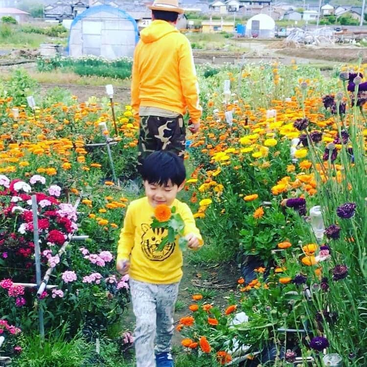 鈴木おさむさんのインスタグラム写真 - (鈴木おさむInstagram)「GWに今年二度目の花摘。男同士で‼」5月2日 18時45分 - osamuchan_suzuki