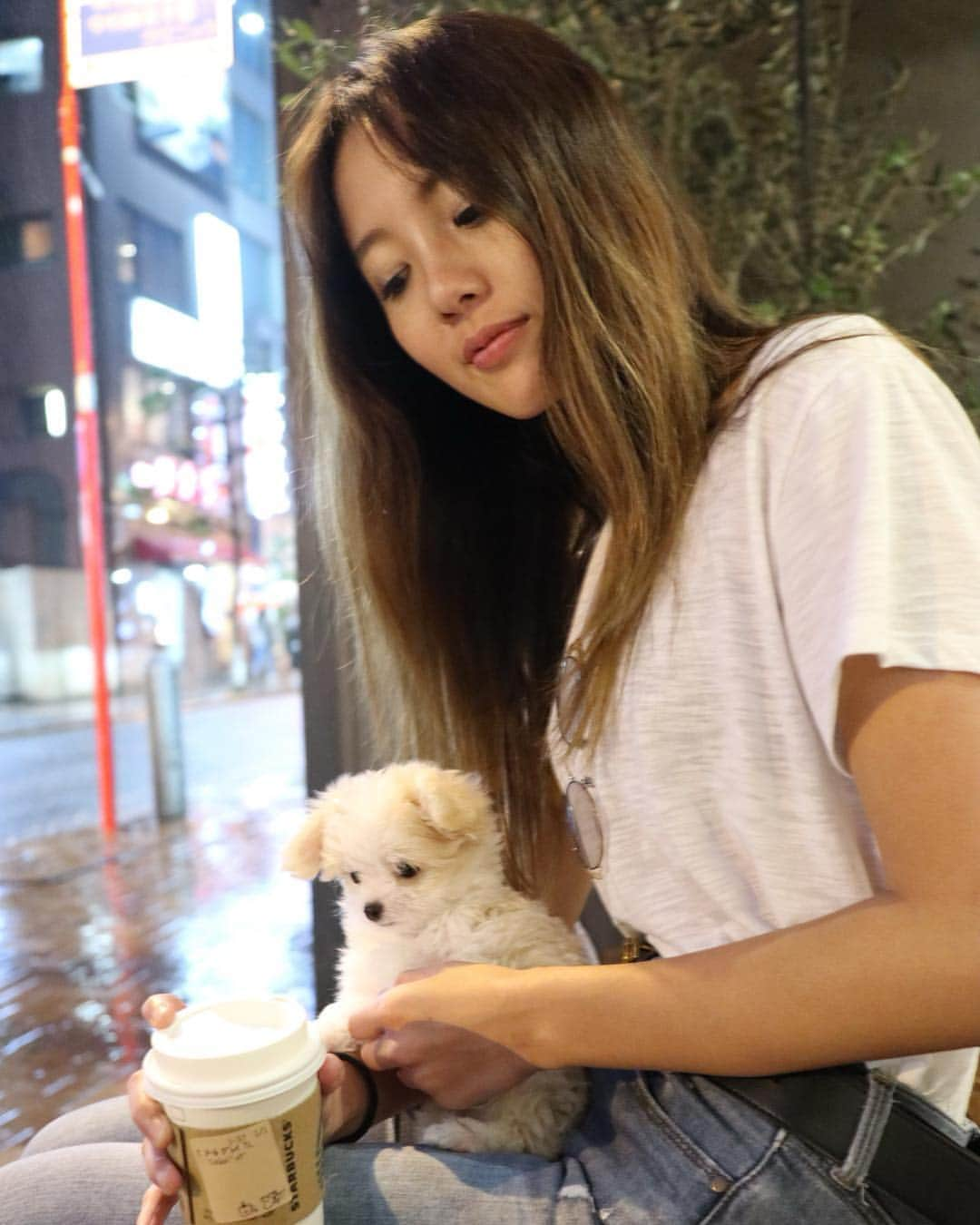 佐藤マクニッシュ怜子さんのインスタグラム写真 - (佐藤マクニッシュ怜子Instagram)「how’s your golden week been? I’ve been with this cutie pie, taking her out to lunch, meeting friends and teaching her how to sit 😂 ‘ おすわりができるようになりました😊 GWはlaniと友達に会ったりお出かけたくさんしてるよ🐶 なんか日に日に耳が垂れてる気がする🤔しかも右だけ。」5月2日 19時06分 - reikoofficial