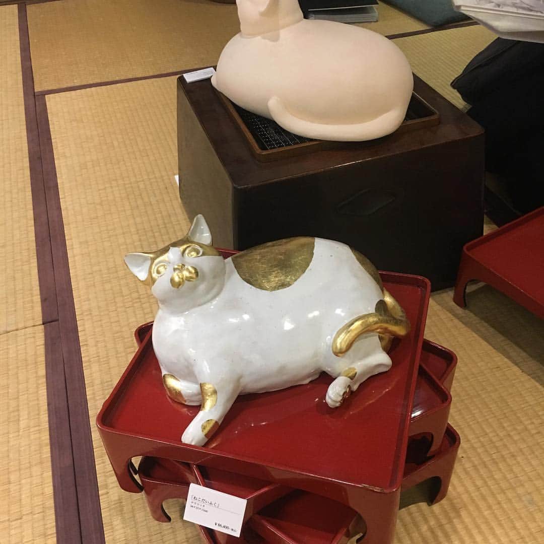 Kachimo Yoshimatsuさんのインスタグラム写真 - (Kachimo YoshimatsuInstagram)「猫質展。 質蔵を想定した（もともとギャラリーマルヒは大正時代の質屋さんで店内に本物の質蔵がある）展示。作品以外の小道具も素晴らしい！ 根津ギャラリーマルヒ 5／6まで #マルヒ #maruhi #cat #猫 #ネコ #谷根千 #根津 #谷中 #ギャラリーマルヒ」5月2日 19時26分 - kachimo