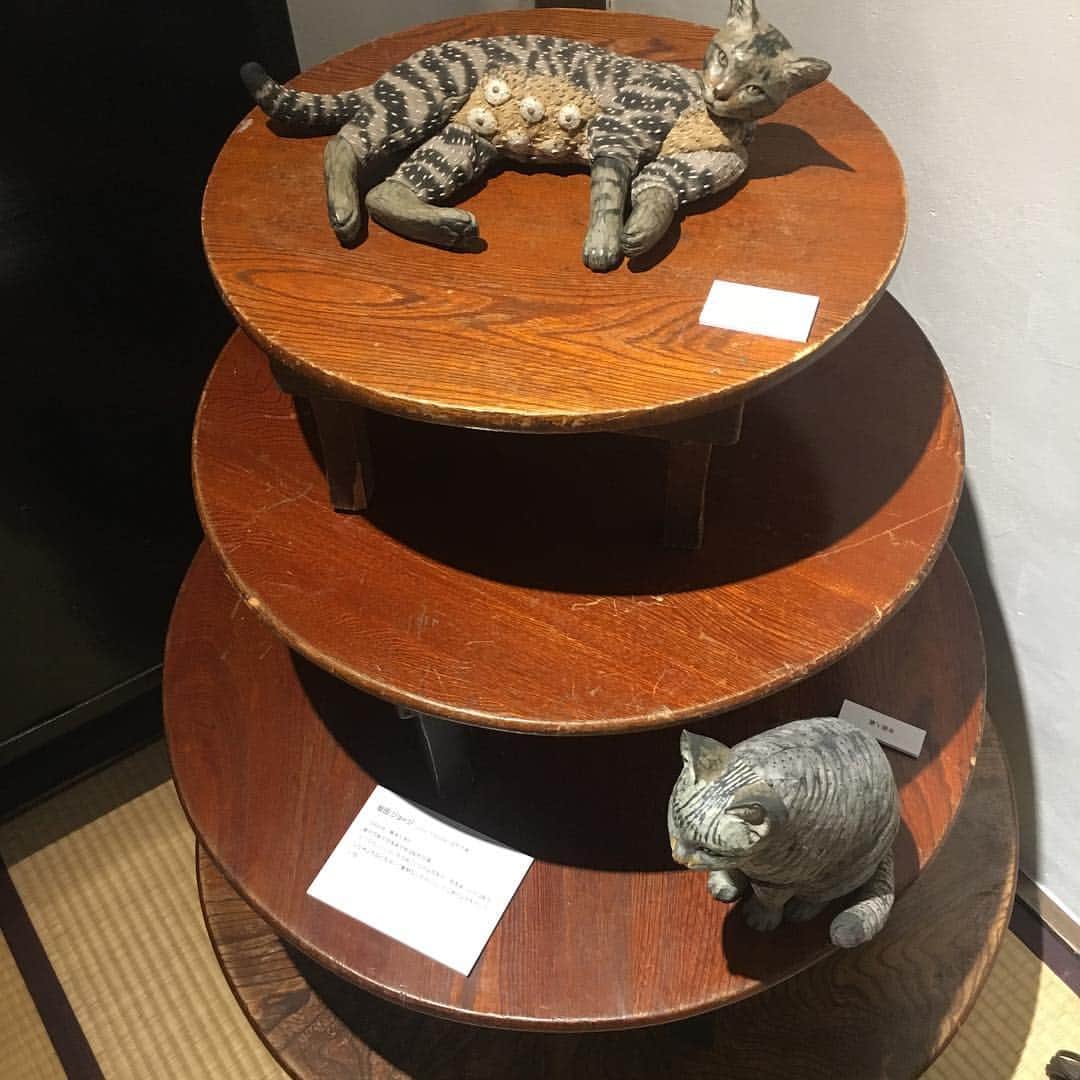 Kachimo Yoshimatsuさんのインスタグラム写真 - (Kachimo YoshimatsuInstagram)「猫質展。 質蔵を想定した（もともとギャラリーマルヒは大正時代の質屋さんで店内に本物の質蔵がある）展示。作品以外の小道具も素晴らしい！ 根津ギャラリーマルヒ 5／6まで #マルヒ #maruhi #cat #猫 #ネコ #谷根千 #根津 #谷中 #ギャラリーマルヒ」5月2日 19時26分 - kachimo