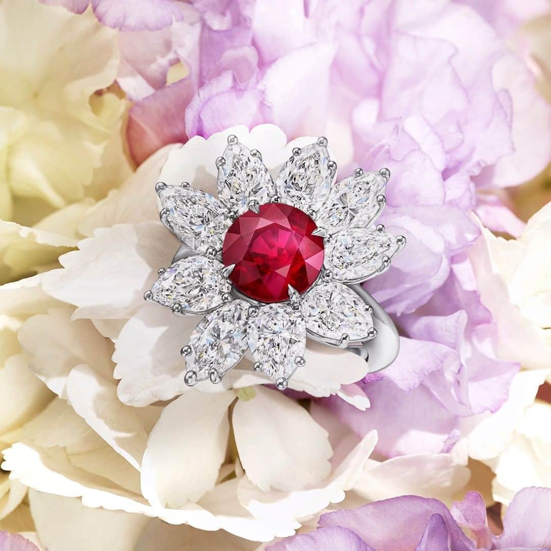 ハリー・ウィンストンさんのインスタグラム写真 - (ハリー・ウィンストンInstagram)「A captivating 4.01-carat ruby framed by 9 #diamond petals radiates springtime beauty in this fresh #highjewelry bloom. #HarryWinston」5月2日 19時30分 - harrywinston