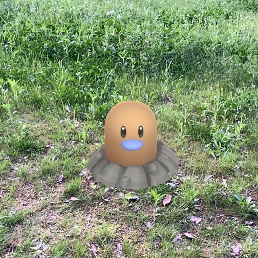 笑福亭瓶吾のインスタグラム：「グラードンの色違いは出ないなぁ。#gosnapshot #habitatchallenge」