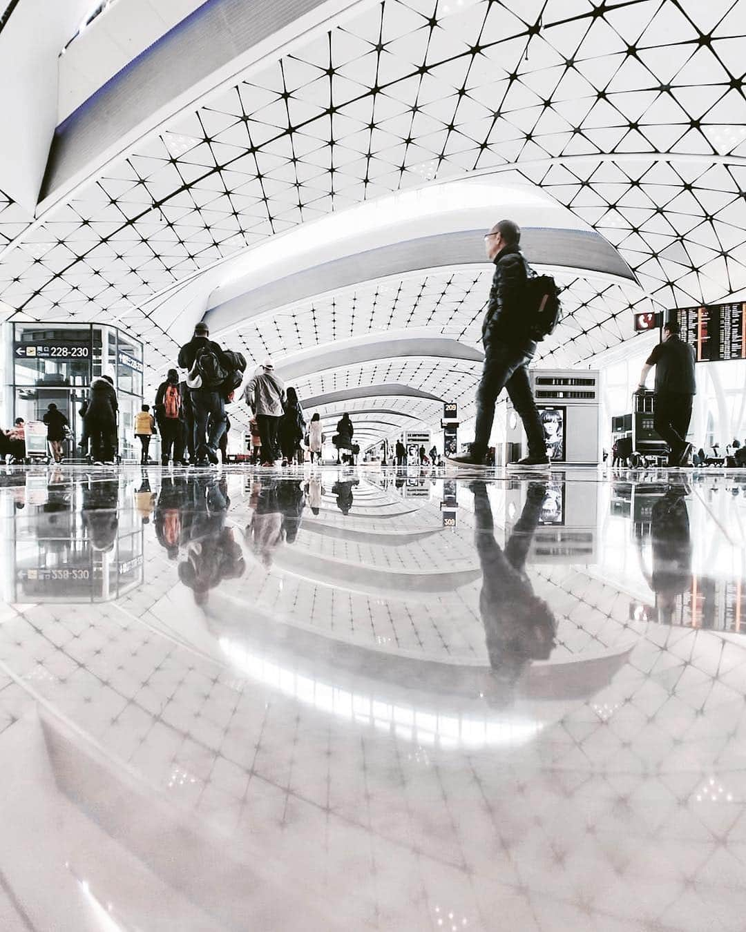 キャセイパシフィック航空さんのインスタグラム写真 - (キャセイパシフィック航空Instagram)「Where so many adventures begin. Over 74 million passengers travelled through Hong Kong International Airport last year. Where will you be going this year? ⠀⠀⠀⠀⠀⠀⠀⠀⠀ ⠀⠀⠀⠀⠀⠀⠀⠀⠀ 每一躺精彩旅程也許都是由機場開始。香港國際機場去年便有超過7,400萬人次進出香港，暢遊大世界。你今年又有甚麼旅遊大計？⠀⠀⠀⠀⠀⠀⠀⠀⠀ ⠀⠀⠀⠀⠀⠀⠀⠀⠀ Credit: @jsnjnr」5月2日 19時52分 - cathaypacific