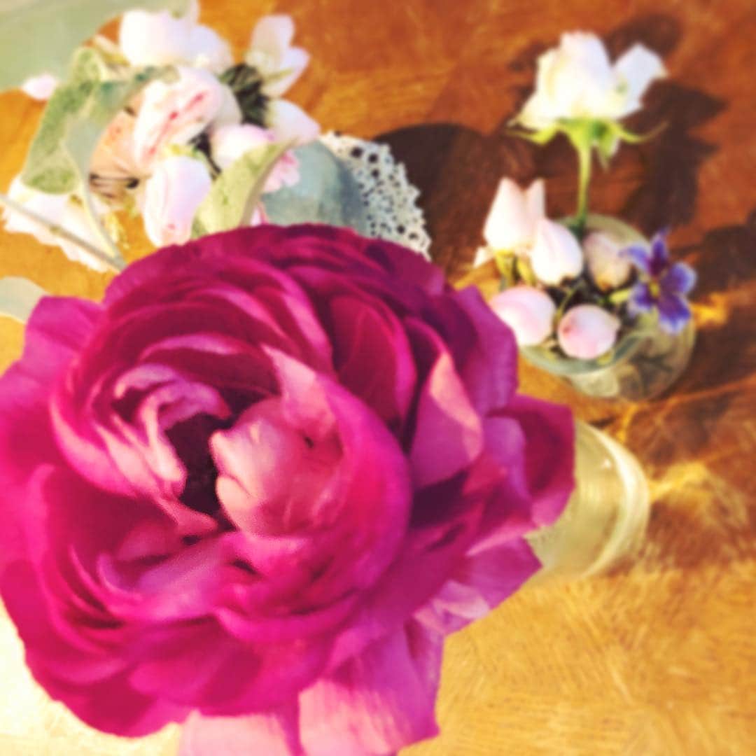 藤田朋子さんのインスタグラム写真 - (藤田朋子Instagram)「少し暖かくなってきた それが花には🌼すぐ伝わるのね ぱちぱちして、お水をあげました  #花 #花瓶 #フラワー #初夏 #春 #flowers #vase #early summer #tomokofujita」5月2日 20時01分 - chiendormant