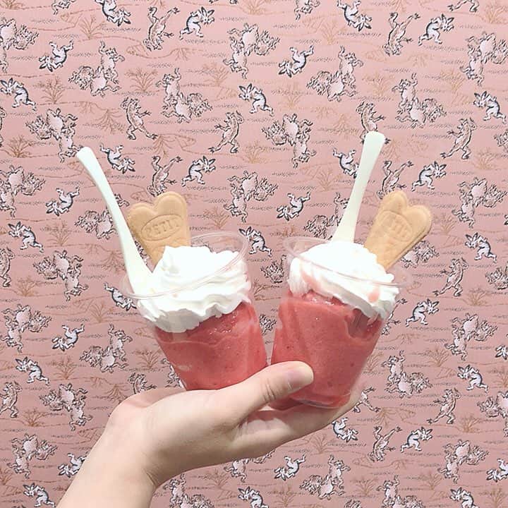 木本泉のグルメインスタ