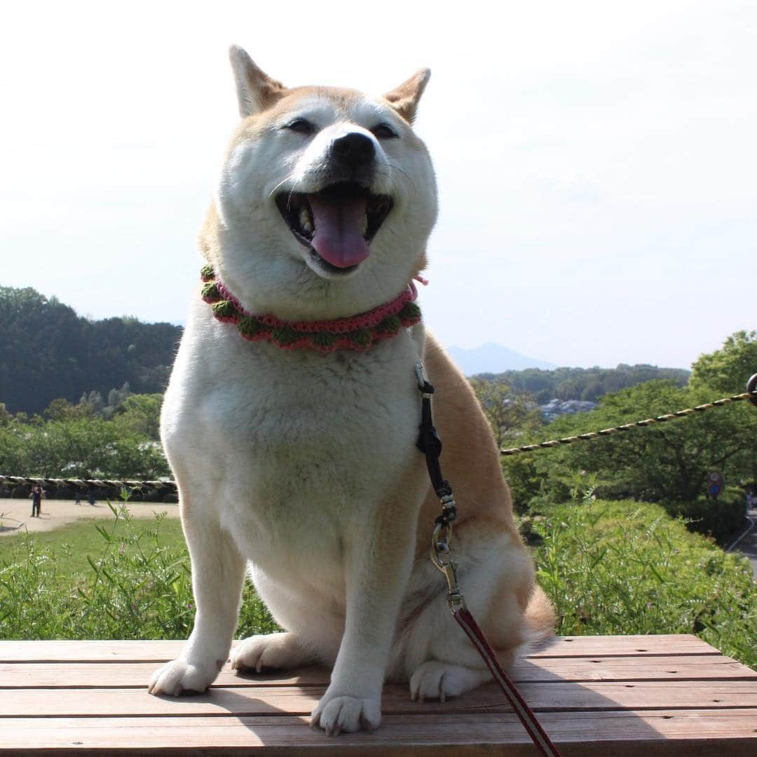 こなつさんのインスタグラム写真 - (こなつInstagram)「今日も良い笑顔でした😊」5月2日 20時51分 - makonatu