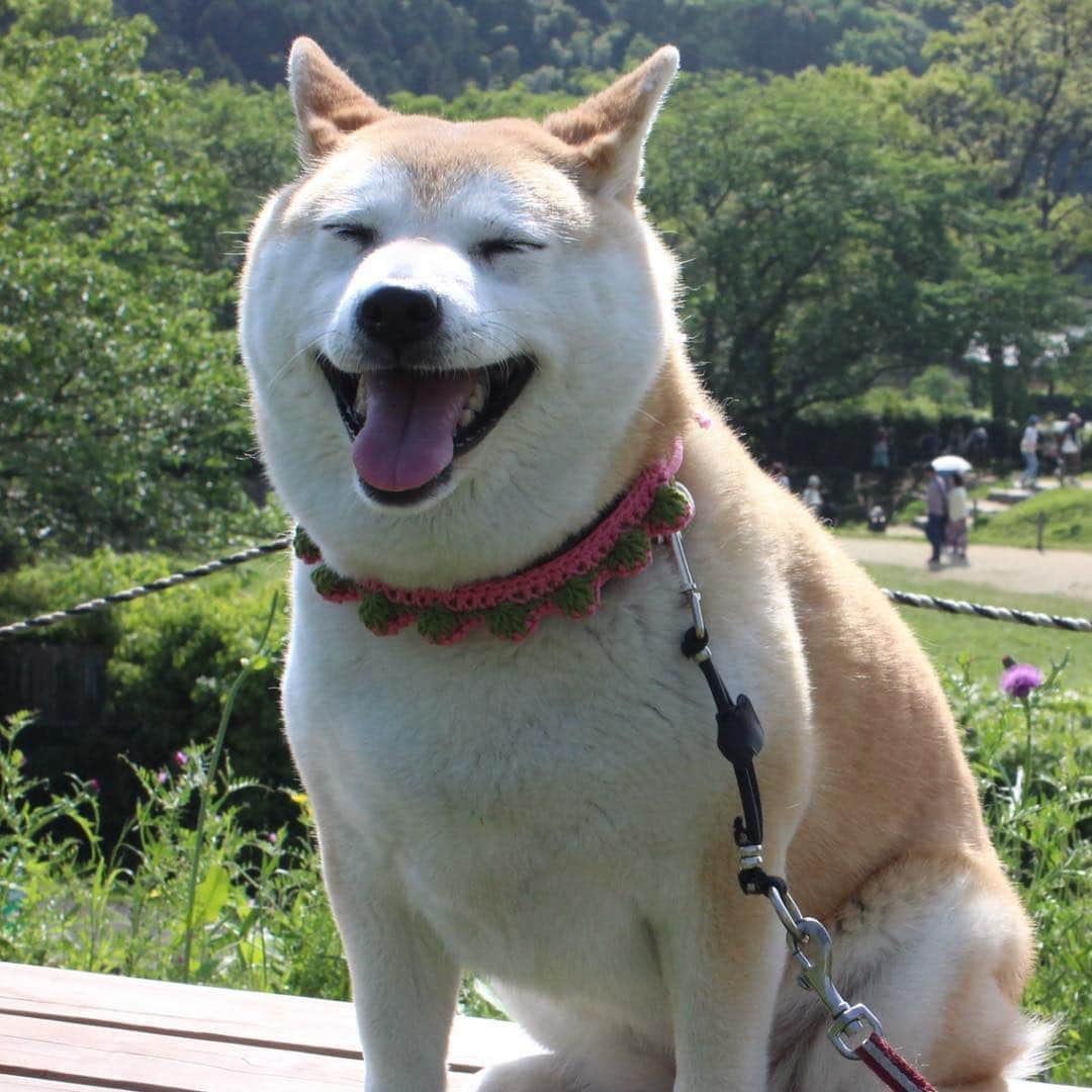 こなつさんのインスタグラム写真 - (こなつInstagram)「今日も良い笑顔でした😊」5月2日 20時51分 - makonatu