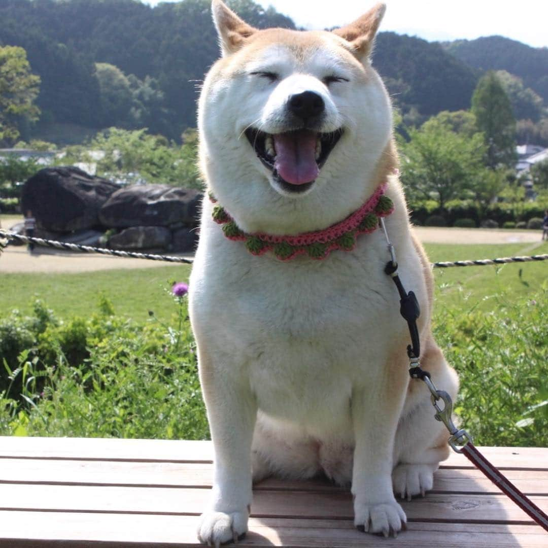 こなつさんのインスタグラム写真 - (こなつInstagram)「今日も良い笑顔でした😊」5月2日 20時51分 - makonatu