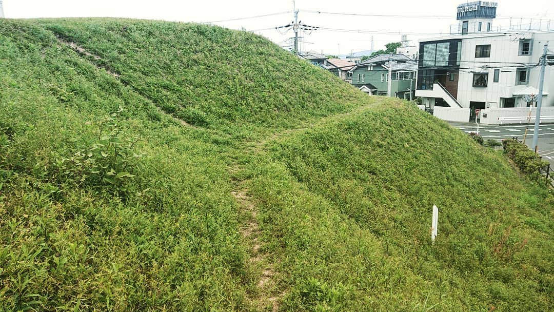 和田益典さんのインスタグラム写真 - (和田益典Instagram)「◆ 乙訓古墳群① . 「物集女車塚古墳」 . 2019/4/29 スマホ撮影 . 長岡天満宮のキリシマツツジを観た後は、周辺の古墳を少し回ることに。 . この乙訓地域一帯は、３世紀の古墳出現期から７世紀の終末期までの古墳がまあまあ揃っております。 . しかーし！ 長岡京造営に伴って破壊された古墳が多いのは非常に残念であります。泣 . . ってことで、最初に訪れたのは６世紀前半に築造されたこの古墳。 (もずめ くるまづか)と読みます。 . 小ぶりの墳丘ですが、後円部には初期の横穴式石室を内蔵しており、かなりグラマラスなボディとなっております。 (長さの割に腰高ってことね) . 大幅に改修された墳丘と分かっていても、やはりこの鍵形フォルムはそそります。 . ちっちゃいので大型古墳みたいに三段ではなく二段築成です。 . . 毎年５月の後半に石室内部を公開してるのですが、この日は４月末だったので当然開いてはいません。 . いつか見てみたい初期横穴式石室&石棺。 . . 咲き始めのオオムラサキツツジと芝草の新緑が綺麗でした。 . . #わだます古墳巡り . #物集女車塚古墳 #乙訓古墳群 #古墳 #向日市 #前方後円墳 #古墳時代 #六世紀 #墳活 #草 #芝生 #ツツジ #オオムラサキツツジ #歴史 #日本史 #いにしえ #国史跡 # #継体天皇 #横穴式石室 #初期 #スマホ #history #ancienttomb #tumulus #park #smartphone #mukocity #kyoto #japan .」5月2日 21時20分 - masunori_wada