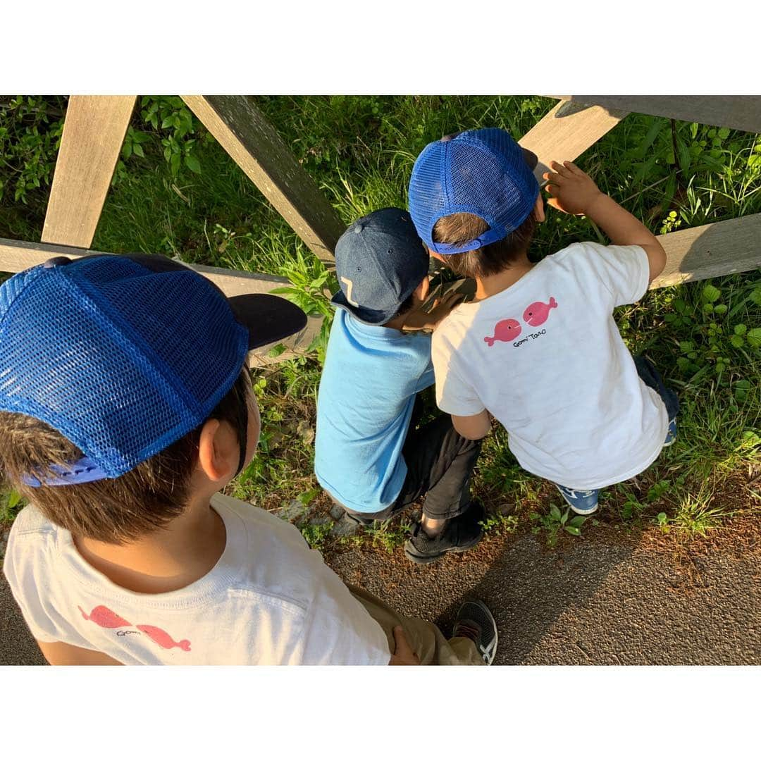 空木マイカさんのインスタグラム写真 - (空木マイカInstagram)「実家に帰ってきましたー！ 地元の友だちたちと早速近くの公園でトカゲを捕まえたり、たんぽぽやヨモギを採ったり。たんぽぽとヨモギは天ぷらに〜😆💕念願のたんぽぽの根っこと花は嬉しすぎてつまみ食いで瞬殺で食べてしまい、写真にも残らず😂でも、たんぽぽはクセが全然無くて美味しかった〜！！ #子どものいる暮らし  #3歳 #5歳」5月2日 21時14分 - maika_utsugi