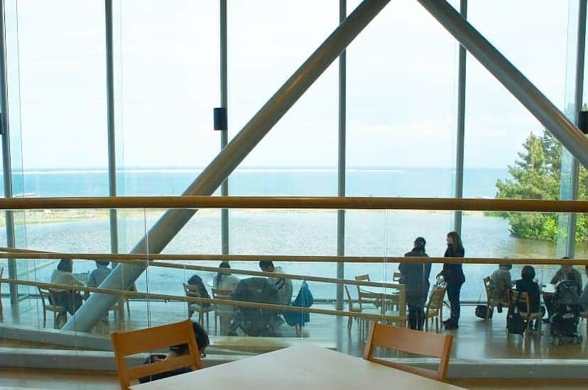 石井優香さんのインスタグラム写真 - (石井優香Instagram)「. いまの時期、 #国営ひたち海浜公園 といえば #ネモフィラ の絨毯が素敵な "みはらしの丘"が有名で、 私にとってとても思い出深い場所です🍀 . そんなこちらの公園で 個人的に同じくらい好きな#エリア が 園内の角に佇む #グラスハウス 『#レイクサイドカフェ 』です☕️ . 9年前に社会人初の取材で伺ったとき、 ゆったりした時間が流れるこの場所に一目惚れし 初めての#リポート の#ラストカット は ここにしました😊 . つい先日お邪魔したこの日は、 #ネモフィラブルーティー と #常陸野ハニードーナツ (ひたちの) を頂きました^^ . #茨城県#ひたちなか市 #紅茶#tea#blue #glasshouse#lakesidecafe #初心に帰らせてもらえる場所 今回で、個人的区切りの #インスタ投稿#500 番目 #茨城の魅力を伝え隊」5月2日 21時39分 - ishii_yuuka