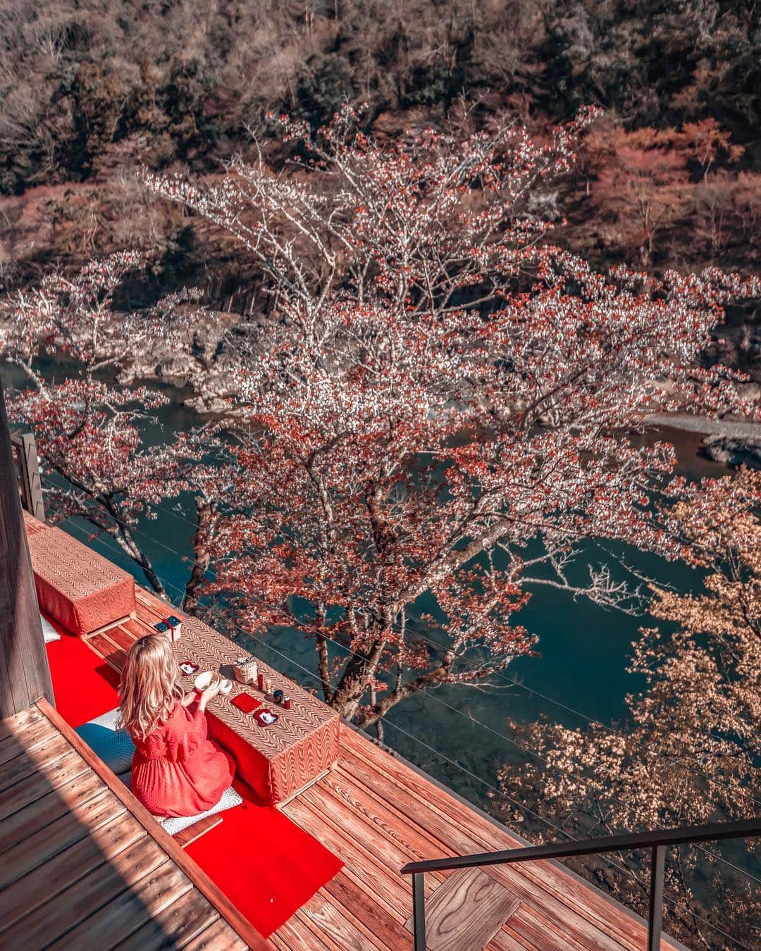 Stella Leeさんのインスタグラム写真 - (Stella LeeInstagram)「The best view you could ask for when drinking matcha in Kyoto ⛩ . @hoshinoresorts.official #hoshinoyakyoto #hoshinoresorts」5月2日 21時44分 - stellalee92