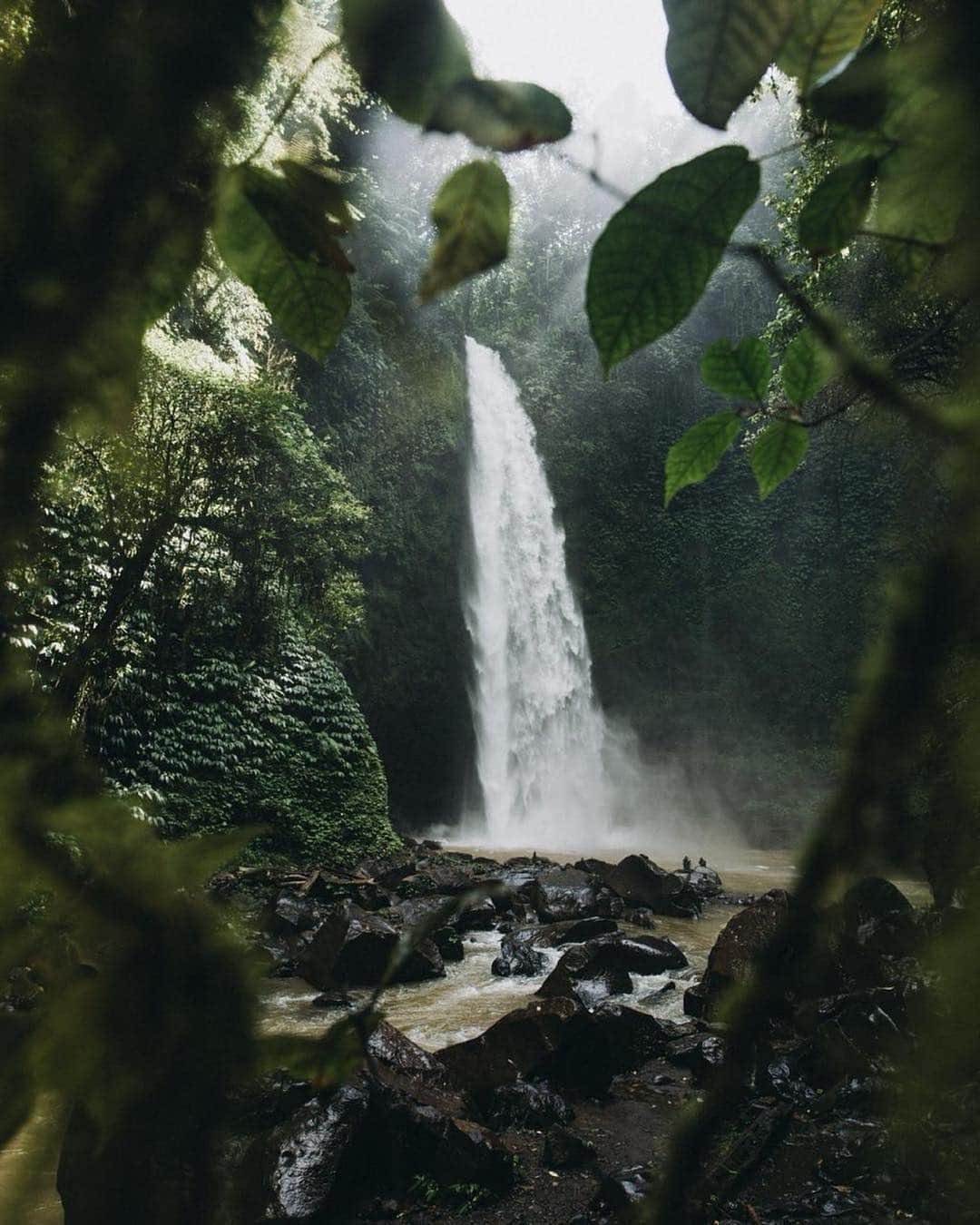 Canon Photographyさんのインスタグラム写真 - (Canon PhotographyInstagram)「Epic waterfalls from North Bali! Photography | @sutarahady First shot: Canon 5D mark IV + Canon EF 16-35mm f2.8 | ISO 640 | f4 | 1/125sec & second shot: Canon 6D + Sigma 20mm f1.4 | ISO 100 | f4 | 1/125sec #canon_photos」5月2日 22時01分 - cpcollectives