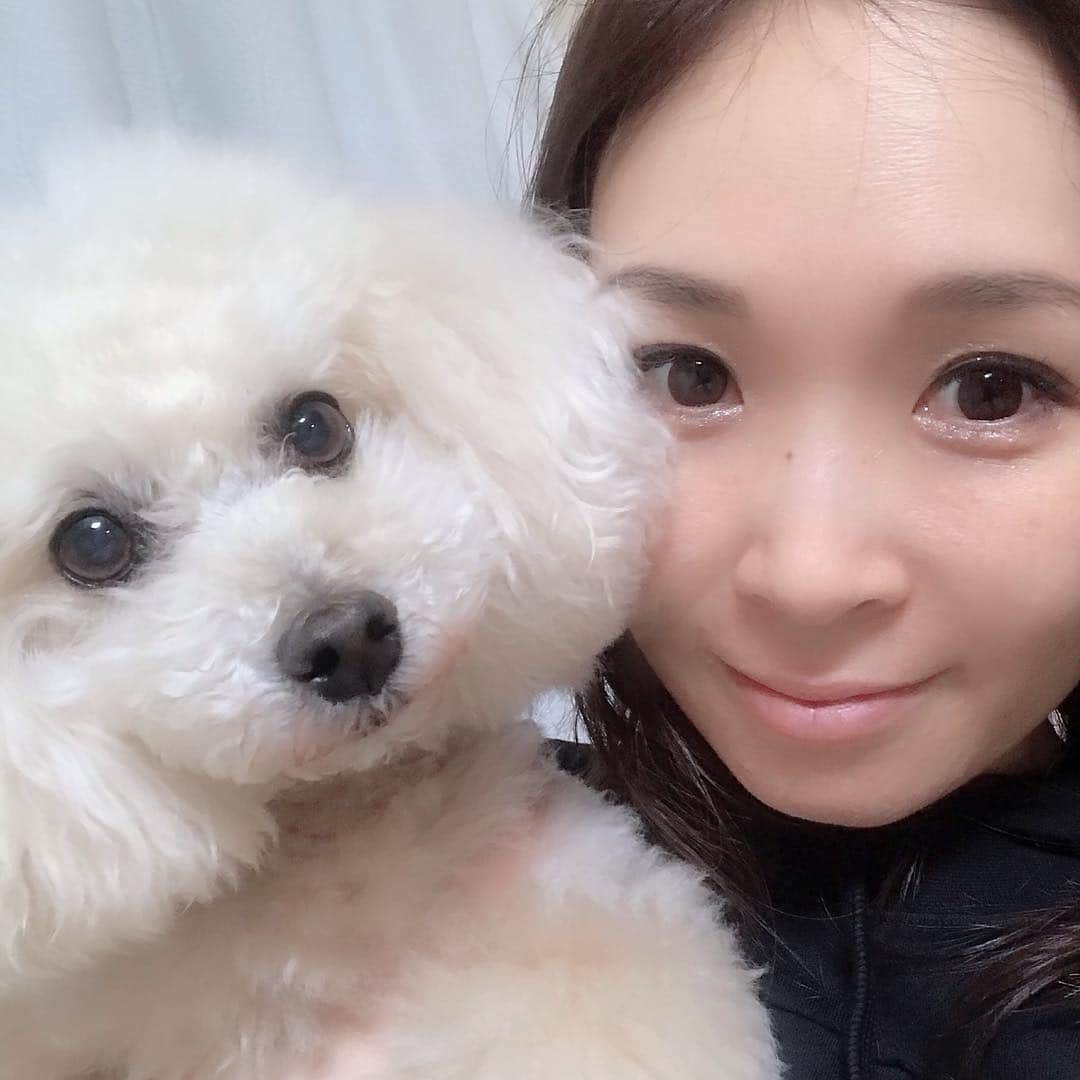 愛内里菜のインスタグラム：「明日から４日間‼️﻿ 5月３日〜６日まで﻿ 幕張ペット博開催です🐶😸﻿ ﻿ 垣内りかトークショーは﻿ ４日間とも１１時２０分からとなります🎤﻿ ﻿ ボンボンコピーヌブースには﻿ ３日と６日のみ﻿ トークショー後に立たせていただきます😌﻿ ﻿ ではでは明日から﻿ お会いできるみなさま楽しみにしております😌✨﻿ ﻿ リボンちゃんとパチリ🎀﻿ ﻿ #bonboncopine#ボンボンコピーヌ#愛犬#chihuahua #犬  #치와와  #dog #instadogs #dogstagram #doglover#プードル #トイプードル#poodle#toypoodle#わんこ #癒しわんこ#イヌスタグラム  #instapet #ペット博#ペット#犬のいる暮らし#わんすたぐらむ#pet#pet博#幕張#幕張メッセ #垣内りか#愛内里菜﻿﻿」