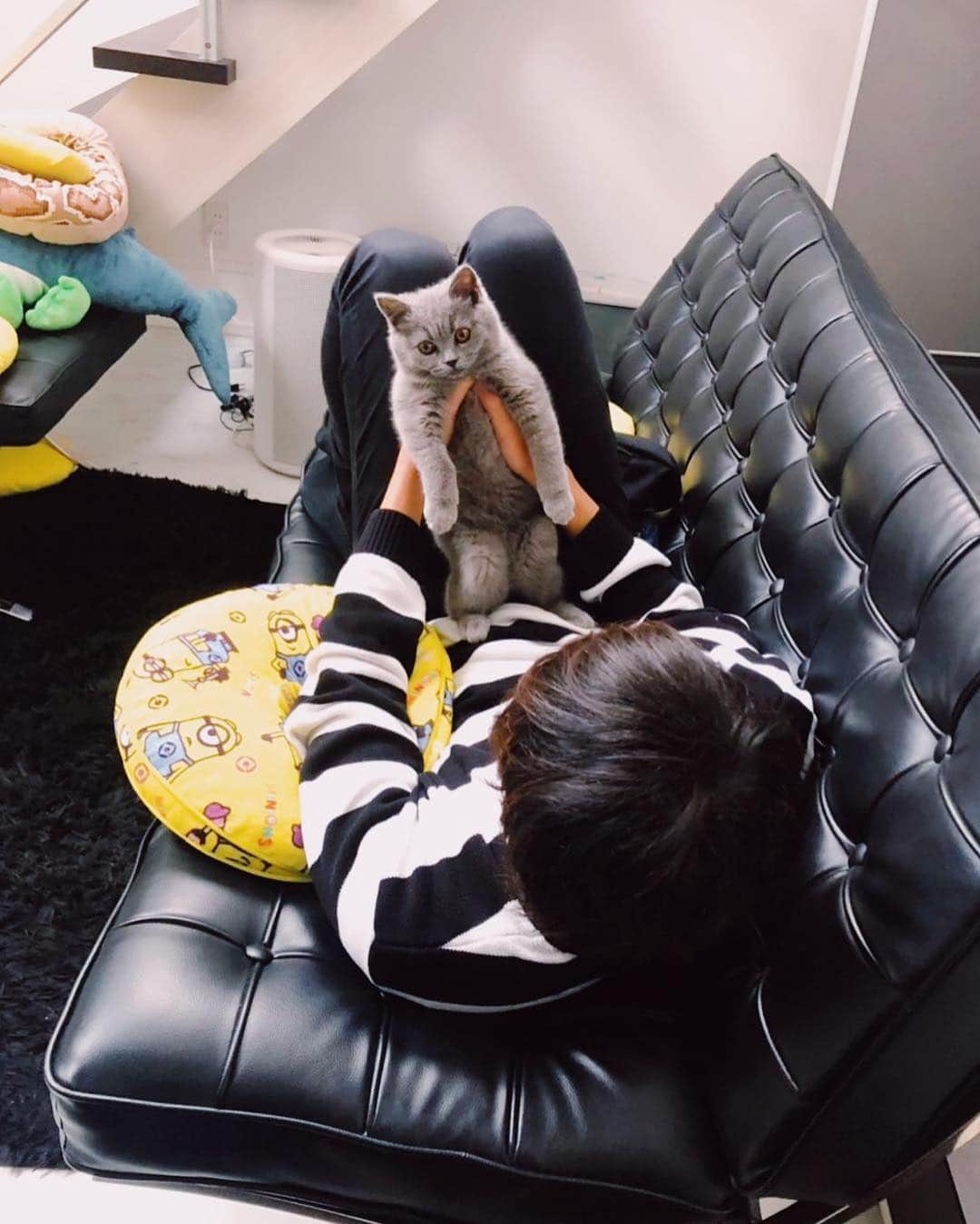 Hikaru Nakamuraさんのインスタグラム写真 - (Hikaru NakamuraInstagram)「ワイとルーク  #猫 #子猫 #ブリティッシュショートヘア #britishshorthair #cat」5月2日 22時17分 - hikarunosuke
