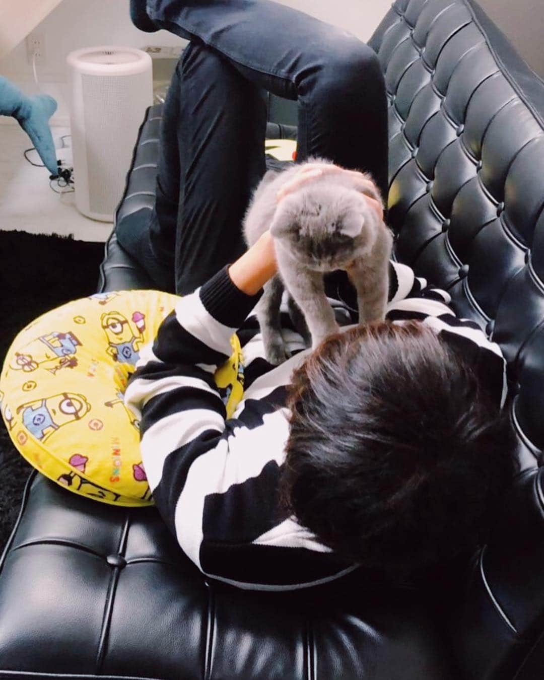 Hikaru Nakamuraさんのインスタグラム写真 - (Hikaru NakamuraInstagram)「ワイとルーク  #猫 #子猫 #ブリティッシュショートヘア #britishshorthair #cat」5月2日 22時17分 - hikarunosuke