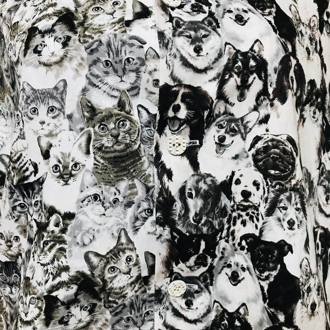 中村涼子さんのインスタグラム写真 - (中村涼子Instagram)「犬も好き！猫も好き！どっちも好き👾 という方にオススメの１着です🐕🐈 『猫好きも犬好きもどっちも最高だよねシャツ』 #手作り服 #形はアロハシャツ」5月2日 22時23分 - nakamuraryoko56