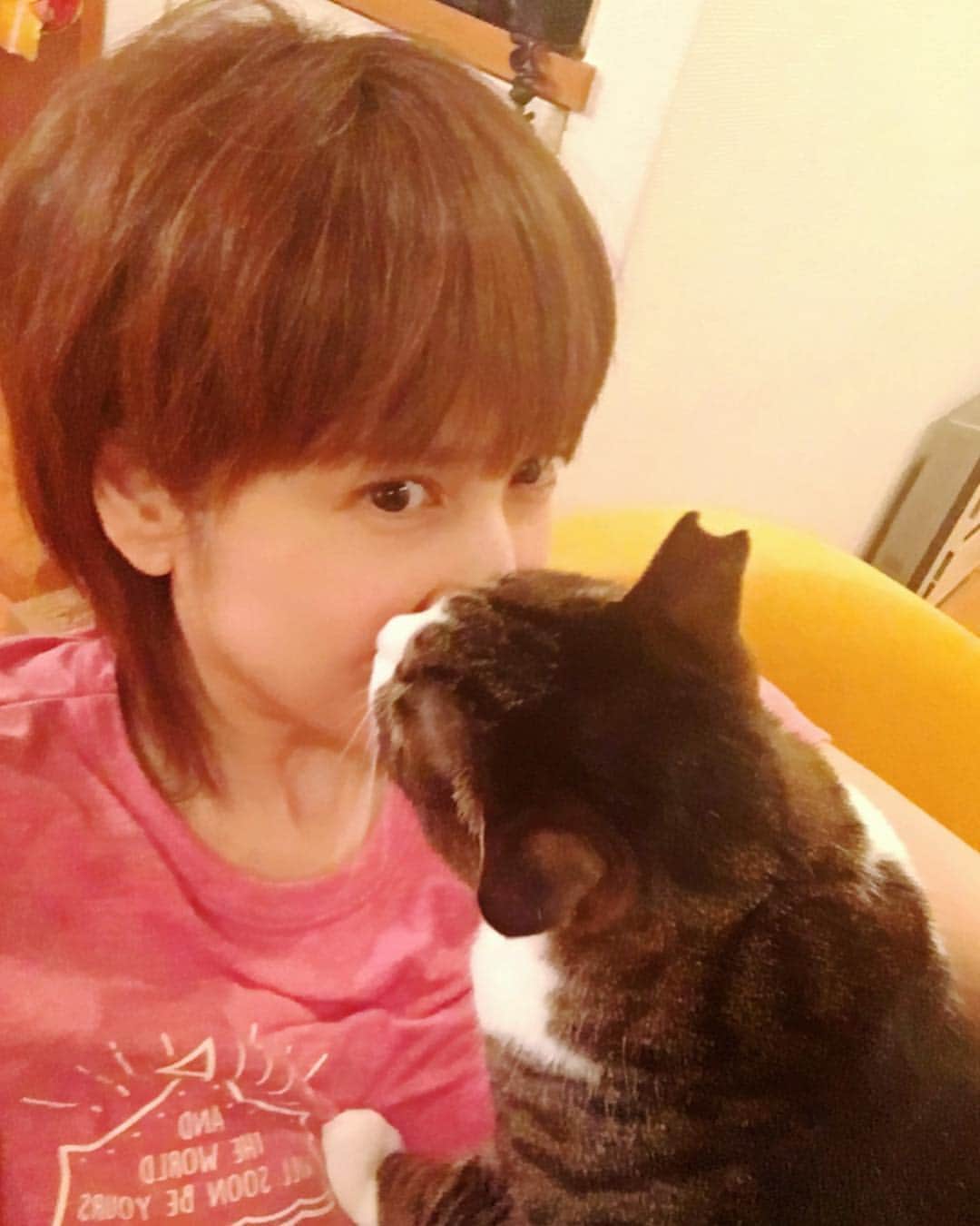 鈴木蘭々さんのインスタグラム写真 - (鈴木蘭々Instagram)「ちゅっ💕💋😽 あら風太くんおやすみのキスかい？👀可愛い事してくれるぢゃないか‼️ #キス #猫 #鼻つんから👃 #ほっぺにきっす☺️💕」5月2日 22時25分 - lanlan_suzuki