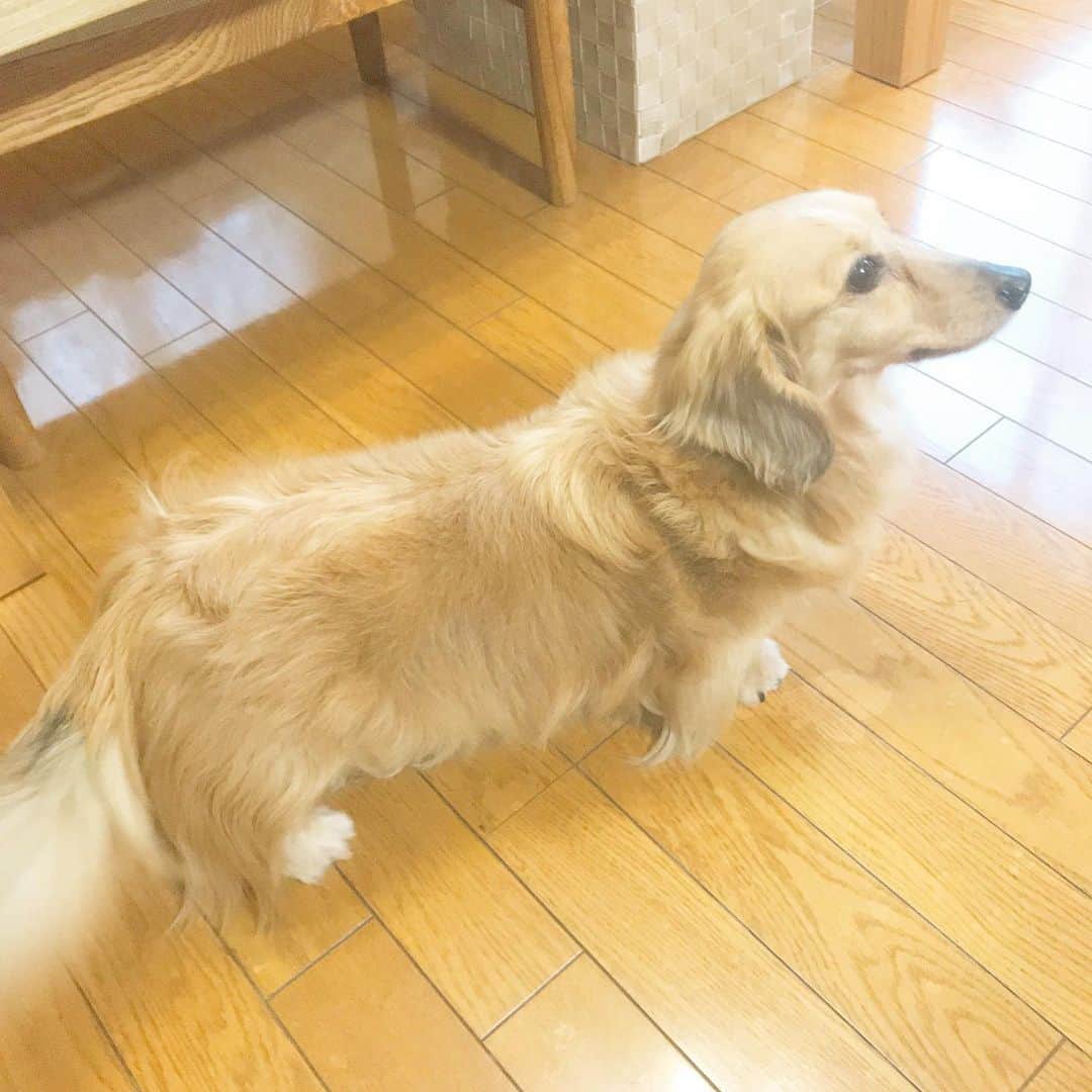 松村淳平のインスタグラム：「GWは実家に帰ってきております。 母の日のプレゼントに花と、父の日のプレゼントに酒をあげました！」