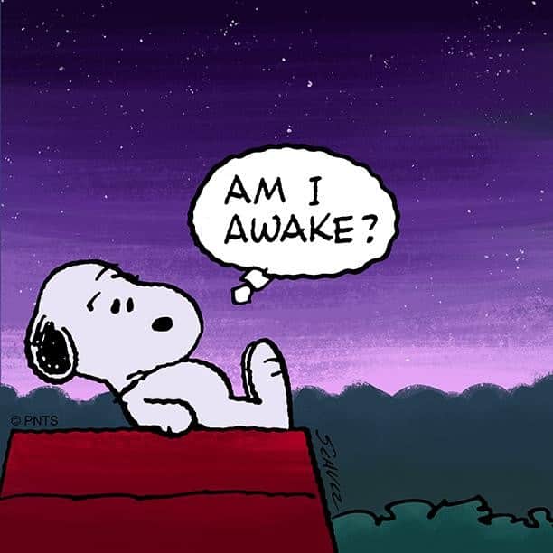 スヌーピーさんのインスタグラム写真 - (スヌーピーInstagram)「Am I awake yet? #mornings」5月2日 23時05分 - snoopygrams