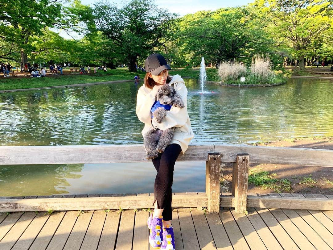 チャベス愛さんのインスタグラム写真 - (チャベス愛Instagram)「. . . 今日はとと丸君🐶と 代々木公園に🌲🌳 明日は一緒に実家にかえります🚄 実家の猫ちゃん🐈 大丈夫かなあ？ . . . #代々木公園 #yoyogipark #トイプードル #シルバートイプードル」5月2日 23時15分 - ai_officialx