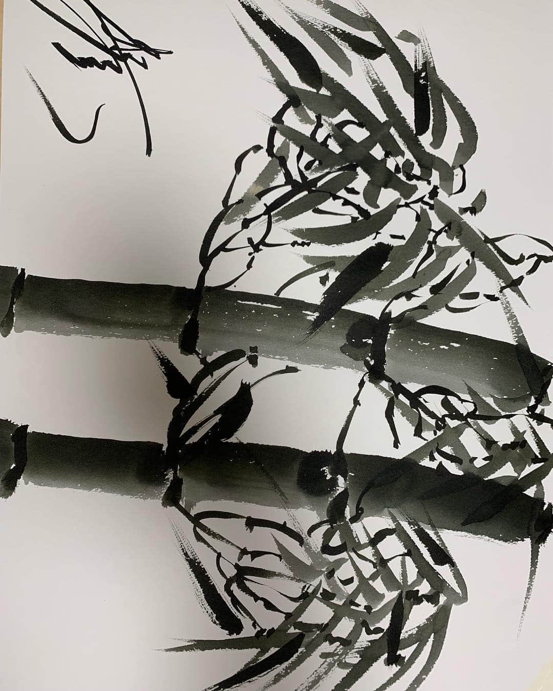 照強翔輝のインスタグラム：「今回出展する作品を書き上げました！ 本作です！」