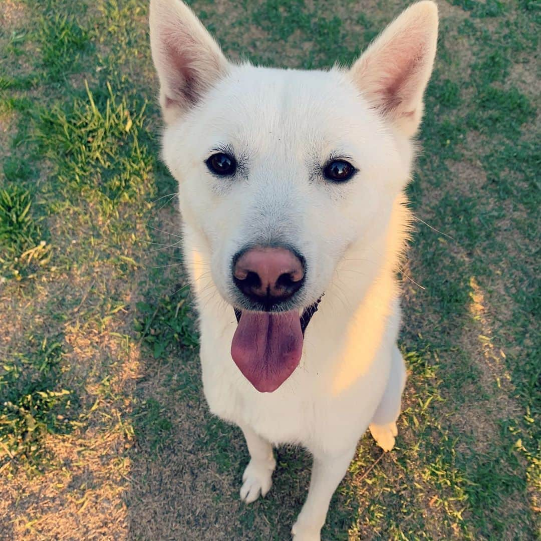 キム・ユジョンさんのインスタグラム写真 - (キム・ユジョンInstagram)「사월이는 이만큼이나 컸어요 :)」5月2日 23時34分 - you_r_love