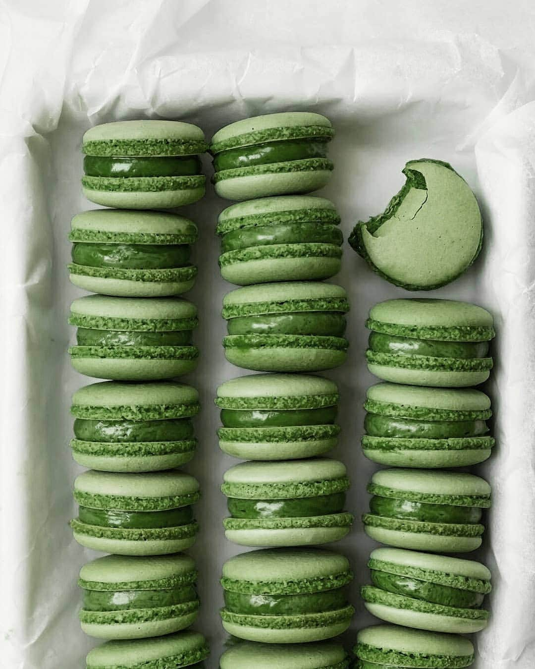 Matchæologist®さんのインスタグラム写真 - (Matchæologist®Instagram)「😍 Oh my #Matcha! Tag your #MatchaBesties who need these mouthwatering Matcha Macarons in their life! 💚 We’re in Matcha #Macaron heaven over here 🙏 Macarons make the perfect treat, and they’re even better when you add the delicious flavour and colour of matcha 😇 (📷: @_eddy_wang_) . Fancy making your own #MatchaMacarons at home?! 🍃 Our Midori™ is a matcha of choice for leading chefs, baristas, pâtissiers, and chocolatiers. It showcases a vibrant green colour, a mellow umami, and imparts a harmonious suite of well-rounded ‘matcha’ flavours to your recipes. It is ideal for use in drink and dessert recipes such as these delicious macarons 🍵 . 👉Click the link in our bio @Matchaeologist for premium-quality matcha 🙏 . Matchæologist® #Matchaeologist Matchaeologist.com」5月3日 0時00分 - matchaeologist