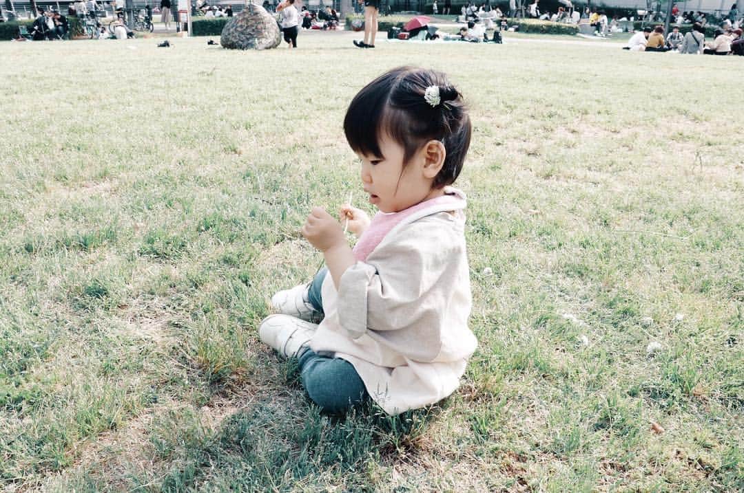naoko tawaraさんのインスタグラム写真 - (naoko tawaraInstagram)「気づけばGWも折り返しに。先々週からずっと続いていた娘の風邪も治った様子で一安心。  今日は散歩がてら娘と中之島公園に。芝生に転がしてみたけど、慣れないのか座り込んで動かなかったので、とりあえず花輪作ってのせてみました。最終とられてすべてバラバラに千切られましたが、楽しそうでよかった。歩けるようになったらもっといろいろ遊ぼうね  #1歳0ヶ月 #中之島公園 #baby #babygirl」5月3日 0時09分 - noknok705