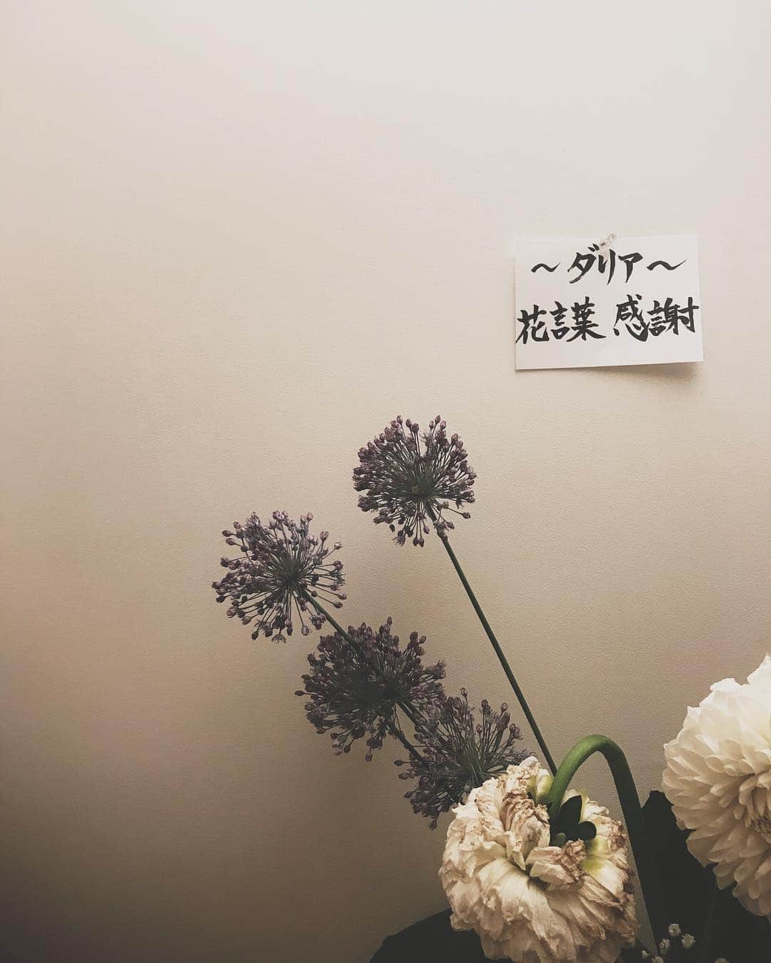 柏木作夢のグルメインスタ