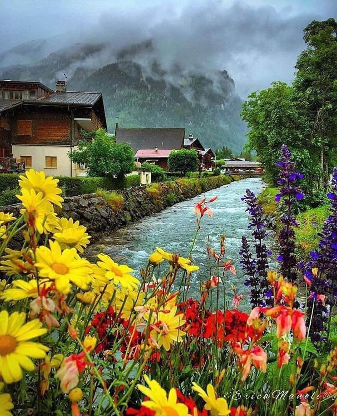 Wonderful Placesさんのインスタグラム写真 - (Wonderful PlacesInstagram)「Les Diablerets - Switzerland ✨❤️❤️❤️✨ . Picture by ✨✨@swissmonamour✨✨ #wonderful_places for a feature ❤️」5月3日 0時25分 - wonderful_places