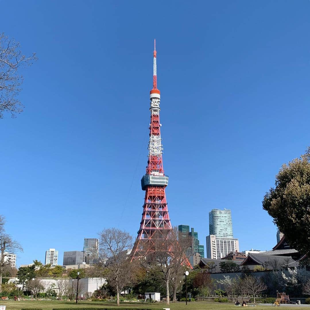 くろさんのインスタグラム写真 - (くろInstagram)「たわ！ #🗼 #tokyotower #東京タワー #芝公園 #増上寺 #zojoji #shibapark #tokyo_instagram #blueskyblue #本日は晴天なり #晴天 #快晴 #青空」4月9日 8時22分 - m6bmw