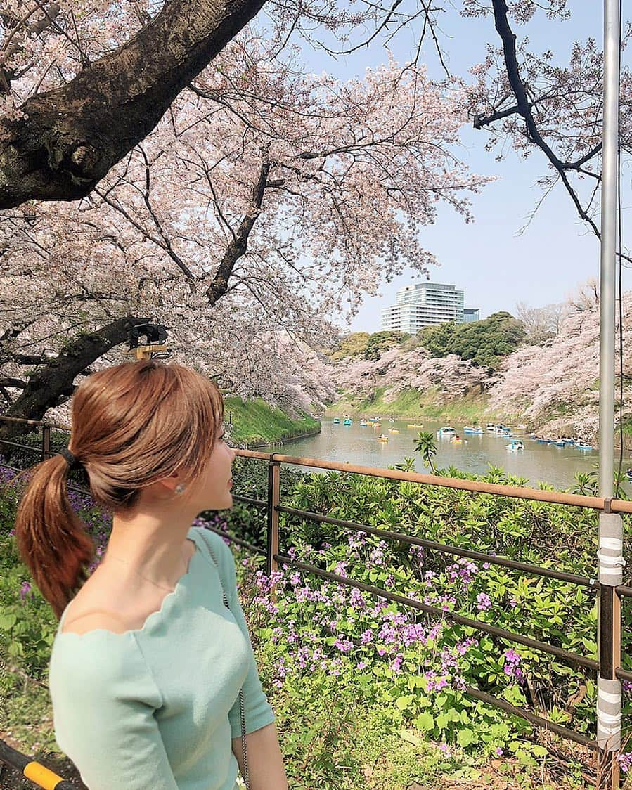 Aoiさんのインスタグラム写真 - (AoiInstagram)「先週末お花見しました🌸 大好きな千鳥ヶ淵は今年も綺麗に咲いてたよ😊  #お花見#休日#桜」4月9日 8時27分 - aoioa