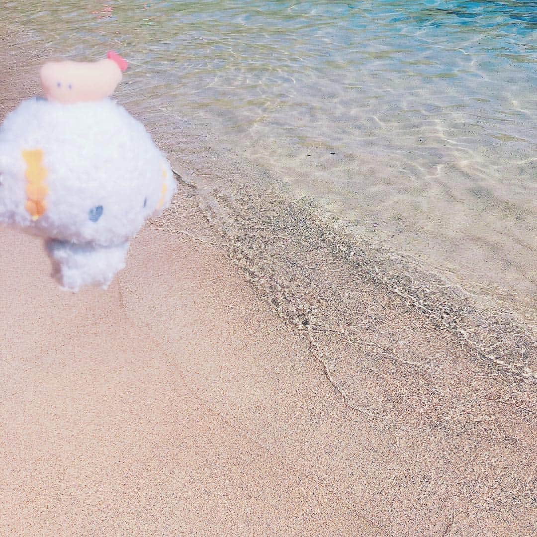 こぎみゅん（サンリオ）のインスタグラム