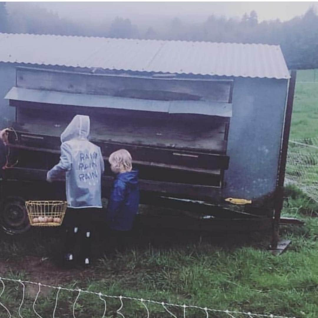 ケアリー・ハートさんのインスタグラム写真 - (ケアリー・ハートInstagram)「Willz and Jamo gathering eggs in the rain yesterday. Nature kids for sure. We love us some Oregon.」4月9日 8時44分 - hartluck