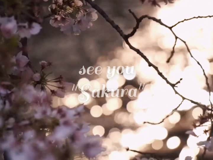 志摩マキのインスタグラム