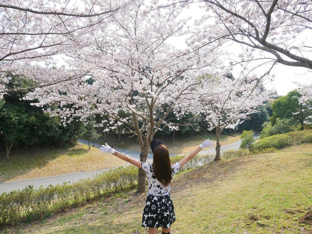 高沢奈苗さんのインスタグラム写真 - (高沢奈苗Instagram)「. 週末はお花見ゴルフ⛳️🌸 . もう葉桜の所も多いけど、成田フェアフィールドの入口はモフモフの綺麗な桜が満開でした🌸😊🌸 . 桜にちなんで花柄ウェアで🌸 . LANVINSPORTの大人な花柄モノトーンコーデ🏌️‍♀️🖤 . ランバンって大人シンプルなイメージがあったけど、可愛いデザインがいっぱい♡ . そしてグローブやサンバイザーといった小物がとっても可愛い😍💕 . . スカートはちょっと大きかったのでお直し出しました！ . @tete_remake ここ安くて早い！オススメです💛 . . . #lanvin #lanvinsport #golf  #vividgolf  #ランバン #ランバンスポール #ゴルフ #ゴルフ女子 #ゴルフファッション #ビビゴルフ #お花見 #お花見ゴルフ」4月9日 9時02分 - nanaetakasawa