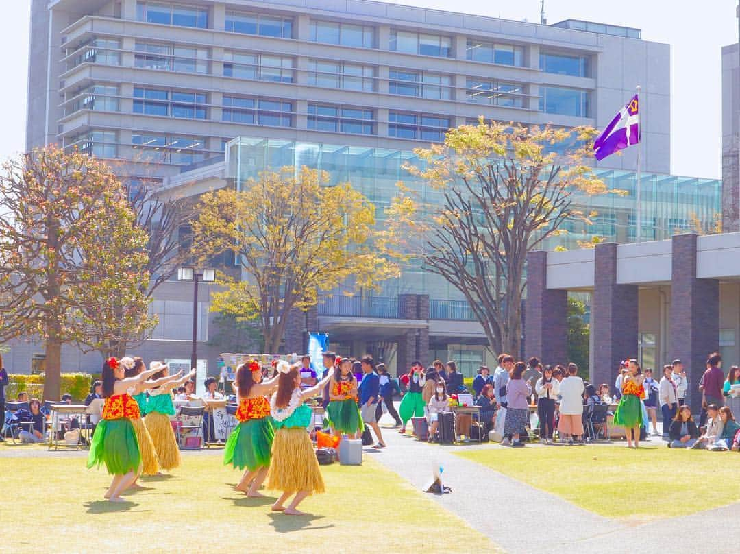 立教大学さんのインスタグラム写真 - (立教大学Instagram)「新座キャンパスの桜と新歓の様子です☺️ Cherry blossoms in Niiza Campus. . #立教 #立教大学 #rikkyo #rikkyouniversity #orientation #新入生オリエンテーション #サークル勧誘 #新歓 #桜 #cherryblossoms #cherryblossom #新座 #niiza Photos by miii_375」4月9日 9時23分 - rikkyouniv