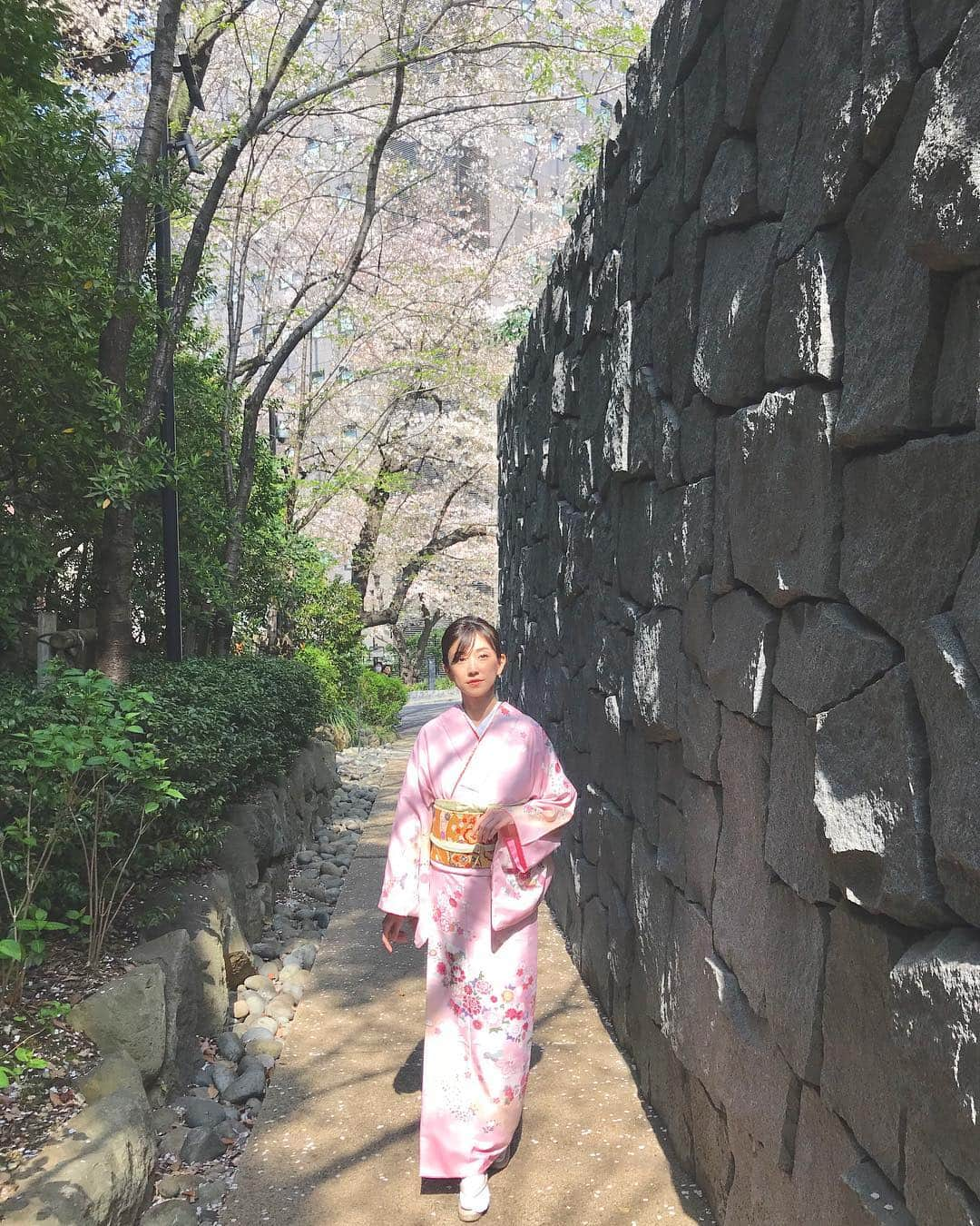 近藤しづかさんのインスタグラム写真 - (近藤しづかInstagram)「日枝神社までの道 🌸 🌸 🌸 . . 母から一言 「婦人画報みたいだね♪」 . だって😄(笑) . . ブログに他の写真も色々載せてみました! . #日枝神社 #結婚式 #神前式 #挙式  #親戚 #着物 #着付け #桜 #桜の季節 #着物コーディネート #和髪 #着物コーデ  #婦人画報 #kimono #japanesekimono #kimonostyle  #cousins #wedding #shrine #japanesewedding #sakura #cherryblossom」4月9日 9時28分 - shizuka_kondo