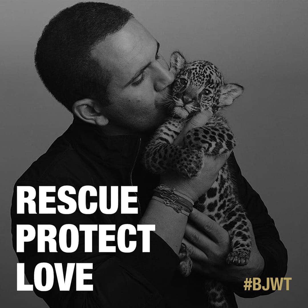 Black Jaguar-White Tiger さんのインスタグラム写真 - (Black Jaguar-White Tiger Instagram)「We must speak up for the voiceless. We must do more for this Planet and all Animals that live amongst us. Help BJWT continue to rescue, protect and Love these precious lives. There's always work to be done, and we can’t do it alone... #babycatalinaBJWT #BJWTRescue」4月9日 1時01分 - blackjaguarwhitetiger