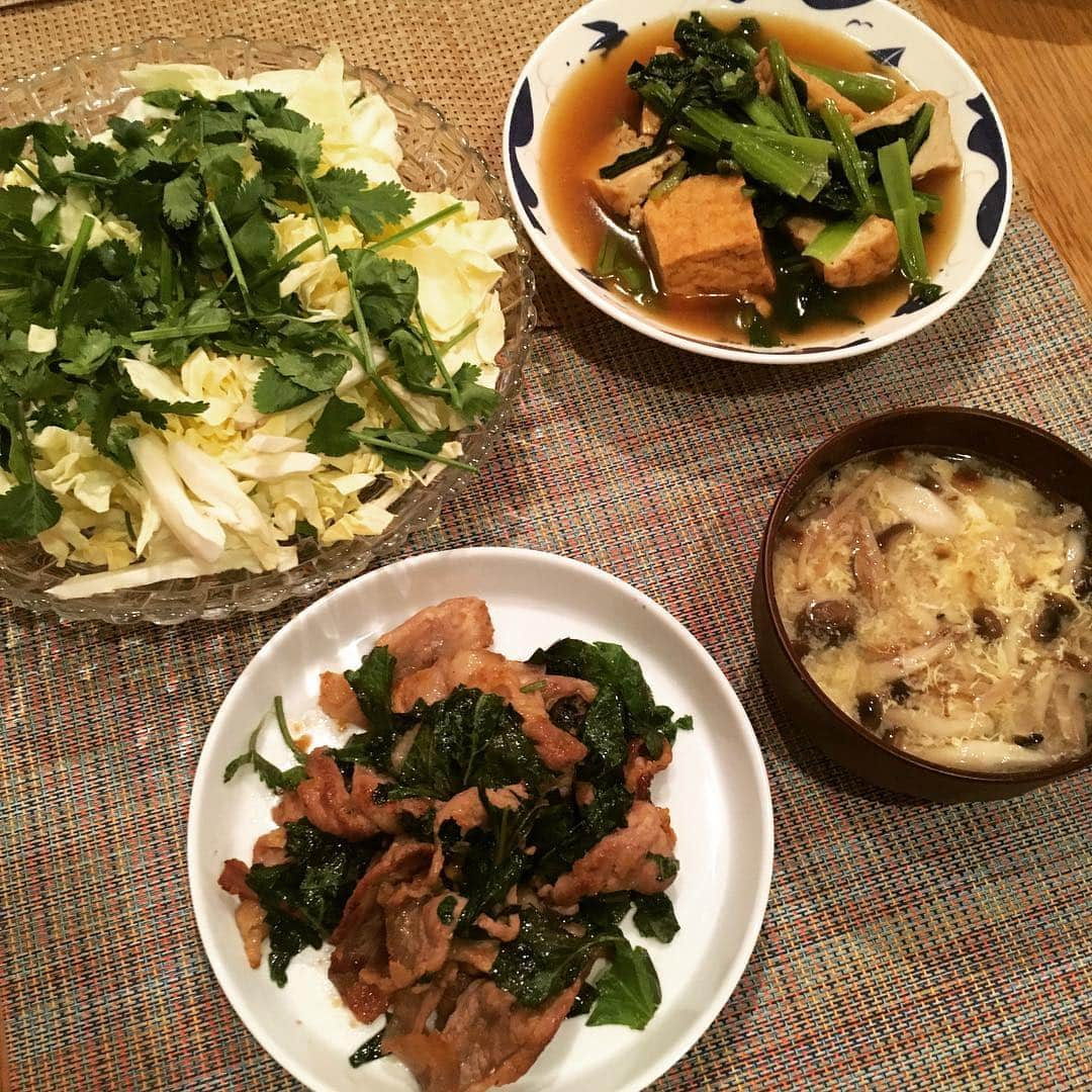 浜口順子さんのインスタグラム写真 - (浜口順子Instagram)「今夜の #パニックキッチン です😋 なんかめっちゃ緑。 彩悪いなあ🤔 パクチーサラダ、 厚揚げ豆腐と小松菜をたいたん、 卵ときのこわんさかお味噌、 豚肉とシソのみぞれ炒め。 今日はなんだか 全然足りない😫 お腹いっぱいになりません😫 豚肉でしつこさプラスしたんだけどなぁ😫」4月9日 1時02分 - hamaguchijunko