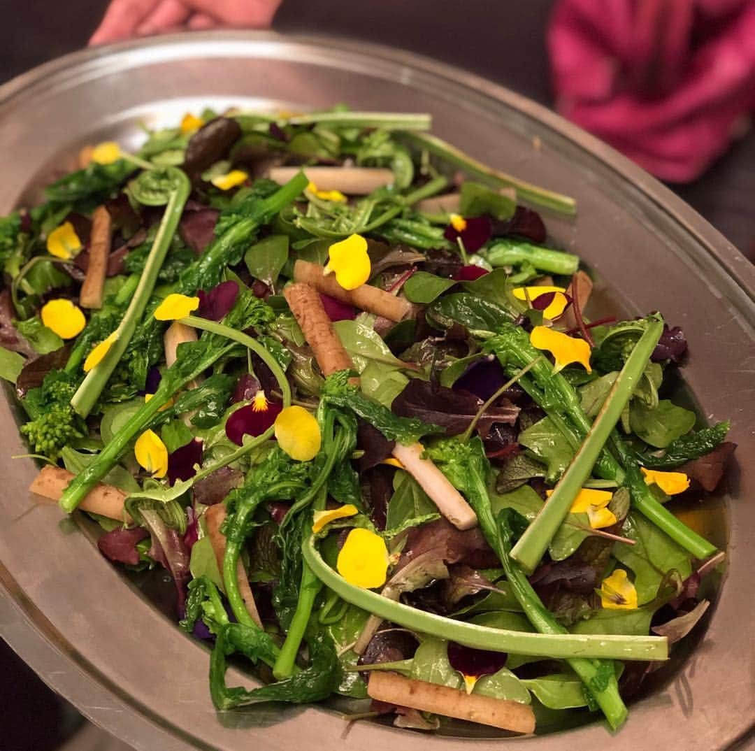 加藤美佐子さんのインスタグラム写真 - (加藤美佐子Instagram)「桜を見ながら七面鳥を食べる会💓  毎月、可愛い女子が集まって 美味しい肉会を🌸🌸 今回は七面鳥だったけど 次回は何かな何かな😆😆✨✨ トリュフパスタも絶品でした  #盛りかわ #肉会 #女子会 #お花見 #桜 #🌸🌸 #銀座 #1日1組限定レストラン #tokyo #japan #七面鳥」4月9日 1時27分 - misako.kato