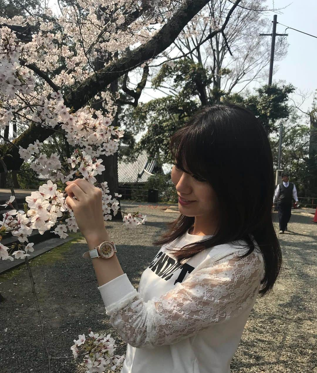 にゃんさんゴルフさんのインスタグラム写真 - (にゃんさんゴルフInstagram)「. . ママと京都旅行🌸 知恩院！ さくらがちょうど満開で綺麗♡ . 鴨川でみんなデートしてたり羨ましいー🤣！！ .  付けている時計はこれ⌚️✨ @loborjapan 白ベルトがこれからの時期にぴったり♡ . クーポンコードは、 【miiiii0228】 ご使用で10パーセントオフになります🐈 (クーポン使用期限は本日より1年間) . . . #lobor#ロバー#腕時計#時計#手元倶楽部 #さくら#満開#京都#母娘旅行#知恩院#令年#国内旅行#京都旅行#インスタ映え」4月9日 1時39分 - miiiii0228