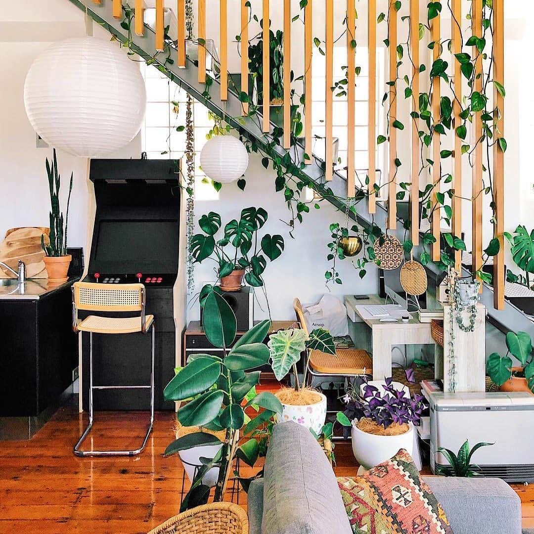 Airbnbさんのインスタグラム写真 - (AirbnbInstagram)「If these plants look cheerful, it’s because they’re cared for by Matt and Ron, Superhosts who share a green thumb and a keen eye for welcoming design. From their lively penthouse in a converted factory building, you can grab a roasted macadamia gelato from Miann and walk the waterfront.  Photo: @mrcigar」4月9日 1時48分 - airbnb