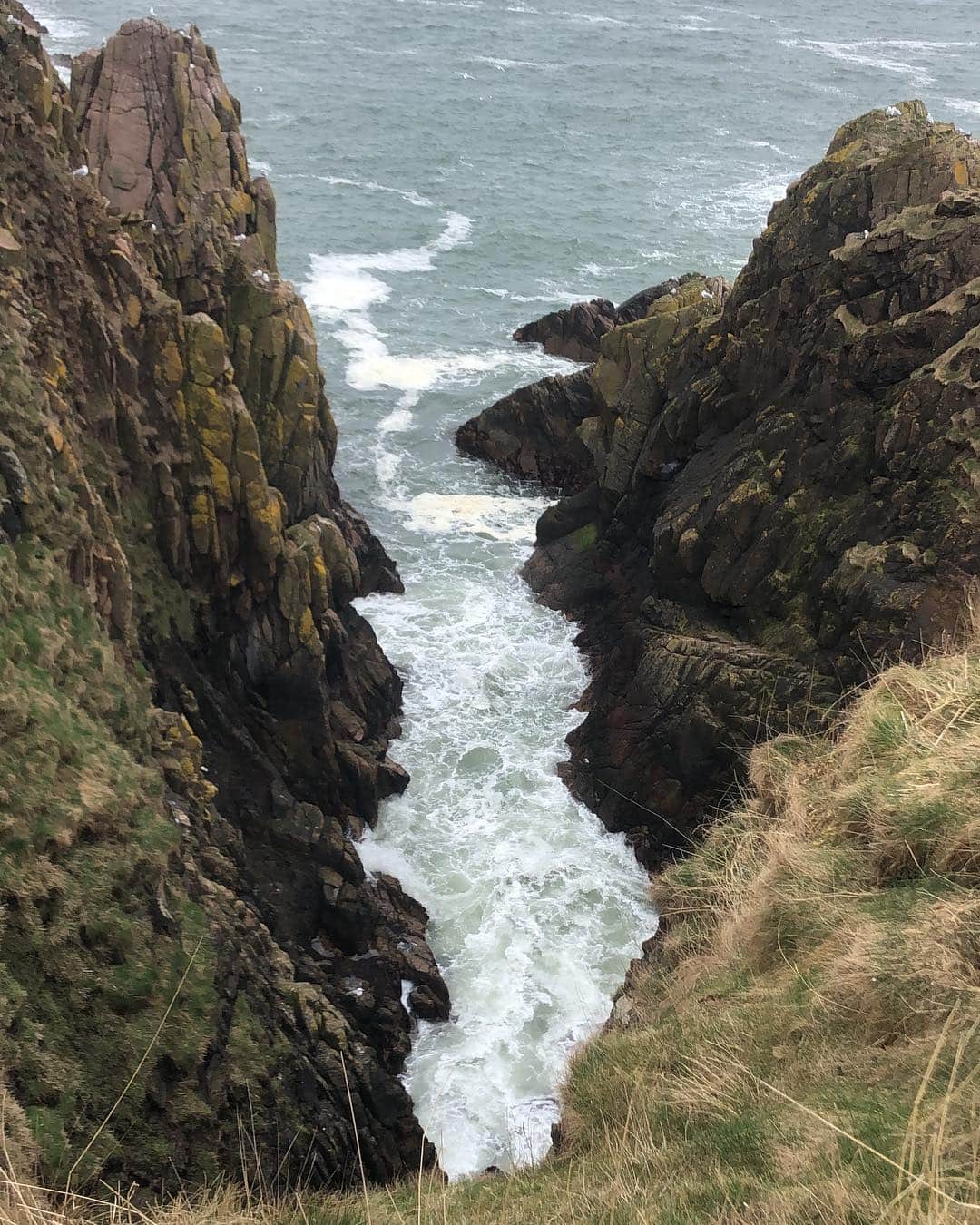 カロリナ・ロドリゲスさんのインスタグラム写真 - (カロリナ・ロドリゲスInstagram)「Feeling free un Scotland... 😍 #amazing #iloveit #friends #paradise #landscape #nature #northsea #aberdeen #slainscastle」4月9日 1時47分 - ritmocarol