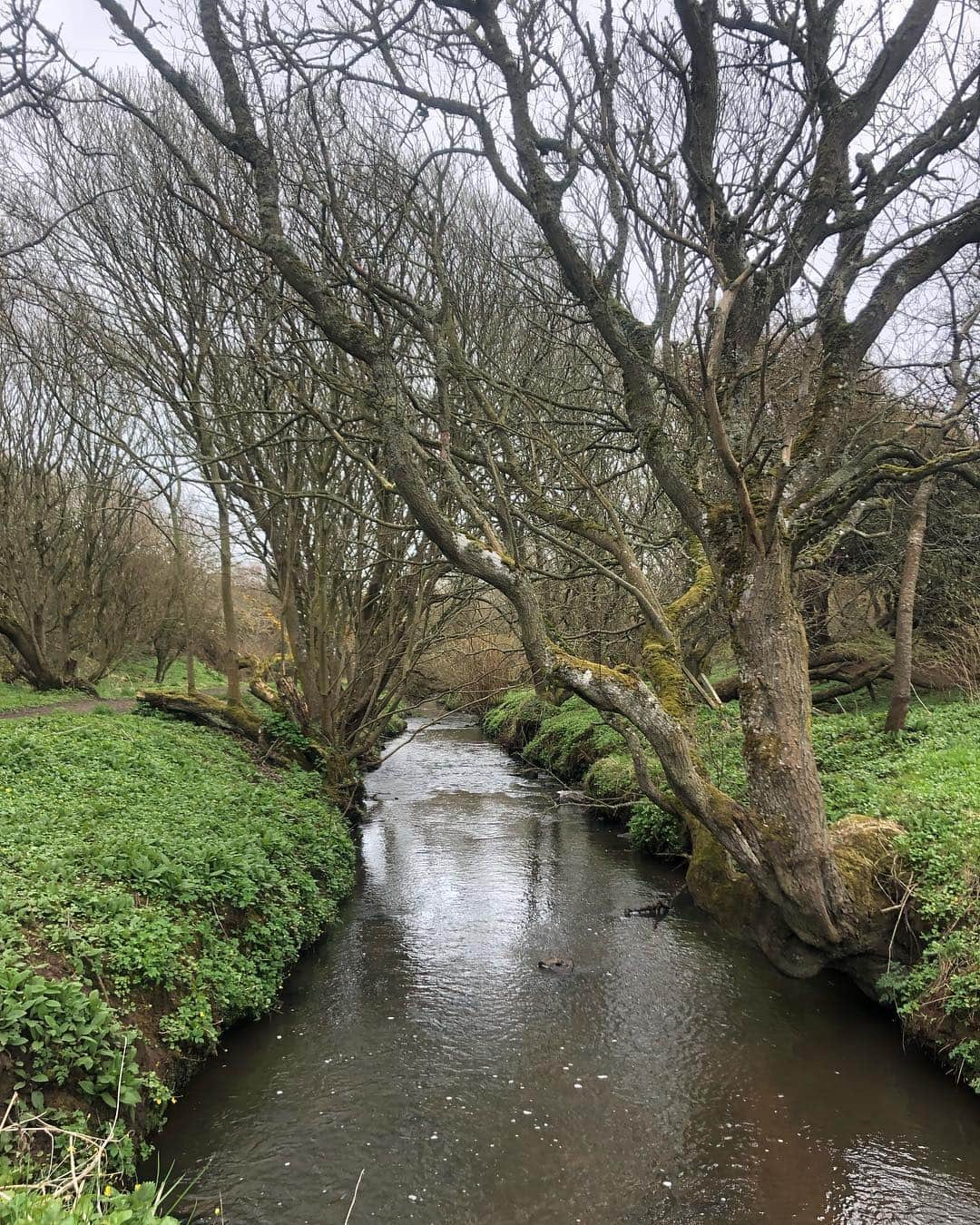 カロリナ・ロドリゲスさんのインスタグラム写真 - (カロリナ・ロドリゲスInstagram)「Feeling free un Scotland... 😍 #amazing #iloveit #friends #paradise #landscape #nature #northsea #aberdeen #slainscastle」4月9日 1時47分 - ritmocarol