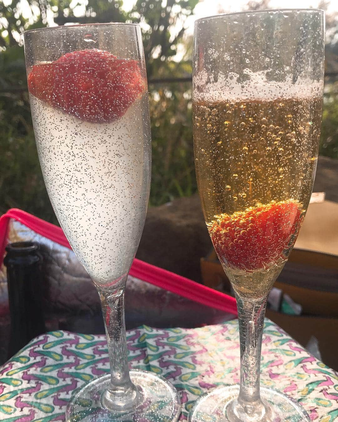 日下裕江さんのインスタグラム写真 - (日下裕江Instagram)「いちご八海山スパークリング🍓🥂 いちごシャンパンスパークリングならぬ八海山スパークリングでいちごを入れて乾杯✨  いちごの甘さと香りが八海山の美味しさをかき立ててくれる♪  桜とのコントラストも かわいい💓  後半いちごビールスパークリング🍺🍓になってたのはここだけの話🤫 もう味より雰囲気✨w  #いちご八海山スパークリング #八海山スパークリング #花見 #お花見 #平成最後の花見 #平成最後の桜 #お花見ピクニック」4月9日 2時00分 - hiroe___h