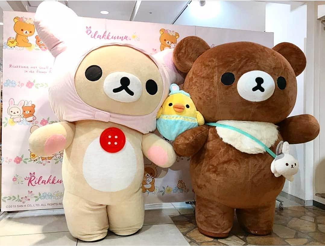 Rilakkuma US（リラックマ）さんのインスタグラム写真 - (Rilakkuma US（リラックマ）Instagram)「@nmk_nnf snapped this adorable pic of Korilakkuma, Chairoikoguma and Kiiroitori making their debut in bunny themed outfits at the Kichijoji Rilakkuma store in Japan last week! Which one is your favorite? . . . #rilakkumaUS #Rilakkuma #sanx #kawaii #happy #mascot #fluffy #japan #Korilakkuma #Kiiroitori #chairoikoguma #リラックマ#サンエックス」4月9日 2時46分 - rilakkumaus