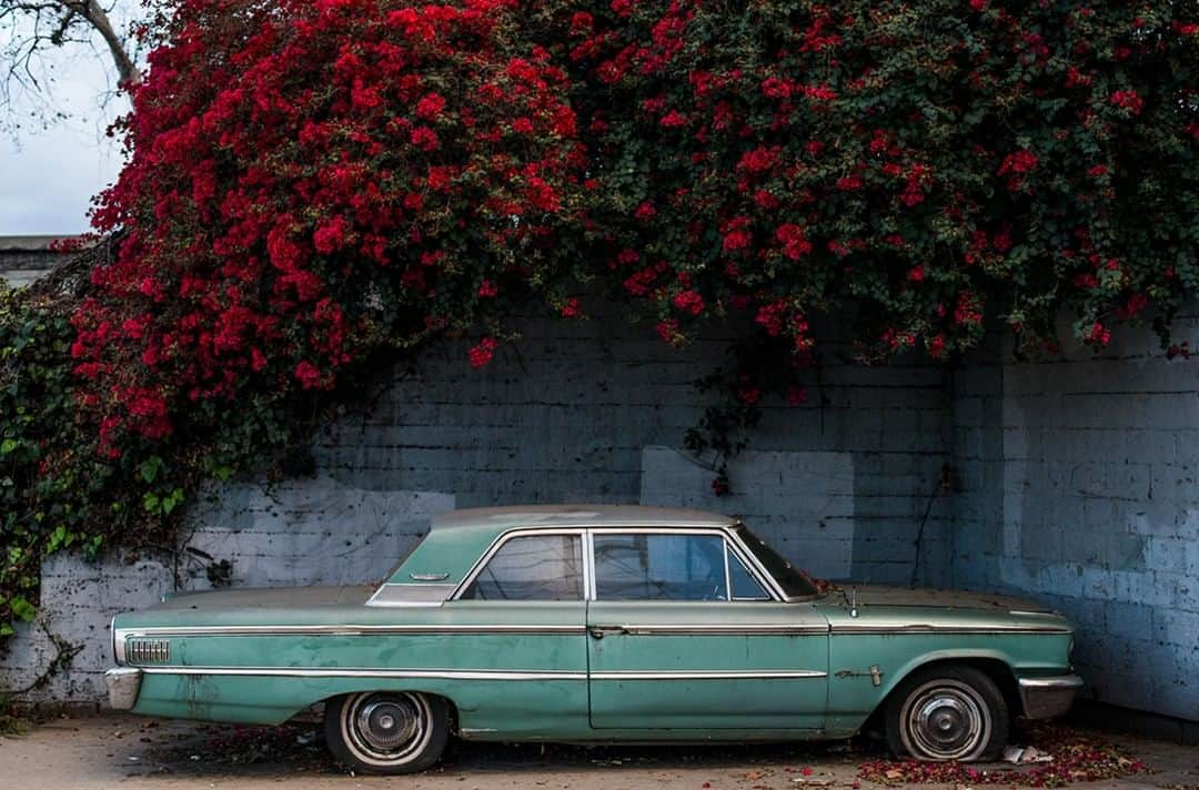 レインスプーナーさんのインスタグラム写真 - (レインスプーナーInstagram)「Some legends never go out of style. ⁣ 📸 @david_kepner⁣ ⁣.⁣ .⁣ .⁣ .⁣ #classiccars #soulaloha #summervibes #carsofinstagram #carstagram #instacars #betterwithage #livedin #findthebeauty」4月9日 4時00分 - reynspooner